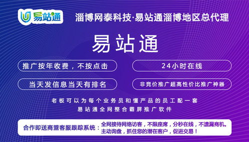 惠民網絡推廣效果好服務介紹——淄博網泰科技，以專業經驗與技術開發助力企業騰飛